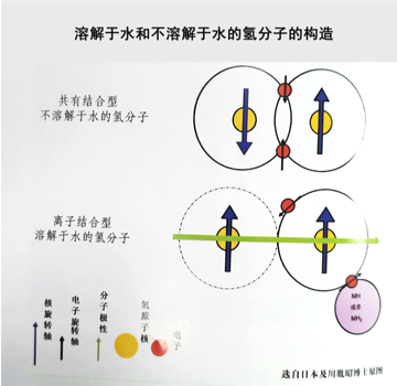 负氢离子：氢健康的本质探索