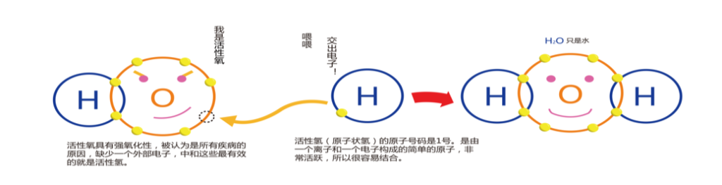 探索生命的源泉：负氢离子——活性离子水的健康奥秘