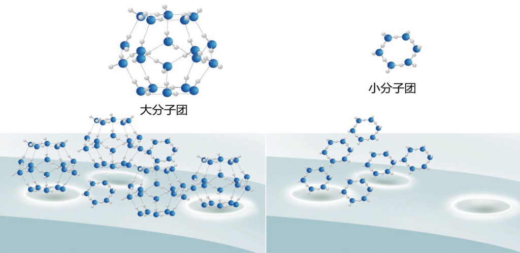 小分子团水与健康